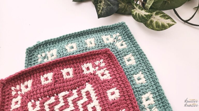 Mastering Tunisian Mosaic Crochet Borders!