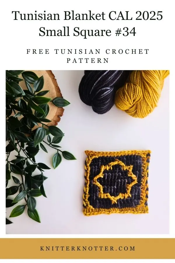 Small Square #34 of the Sona Tunisian Blanket CAL of 2025 by KnitterKnotter - the square is worked with the Tunisian Mosaic Crochet technique and features a beautiful blackwork-inspired design.