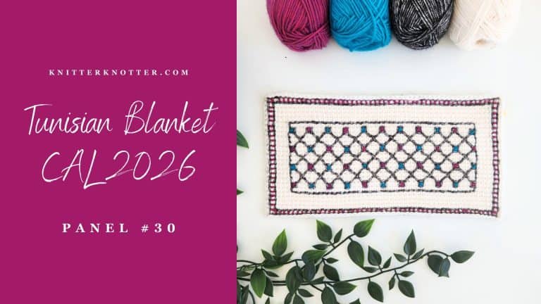 Tunisian Blanket CAL 2026 – Panel #30