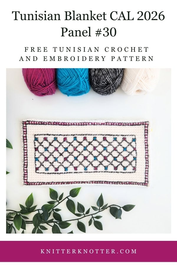 Panel #30 of the Neev Tunisian Blanket CAL of 2026 by KnitterKnotter - the fabric is worked with the Tunisian Simple stitches and features a beautiful blackwork-inspired embroidery design.