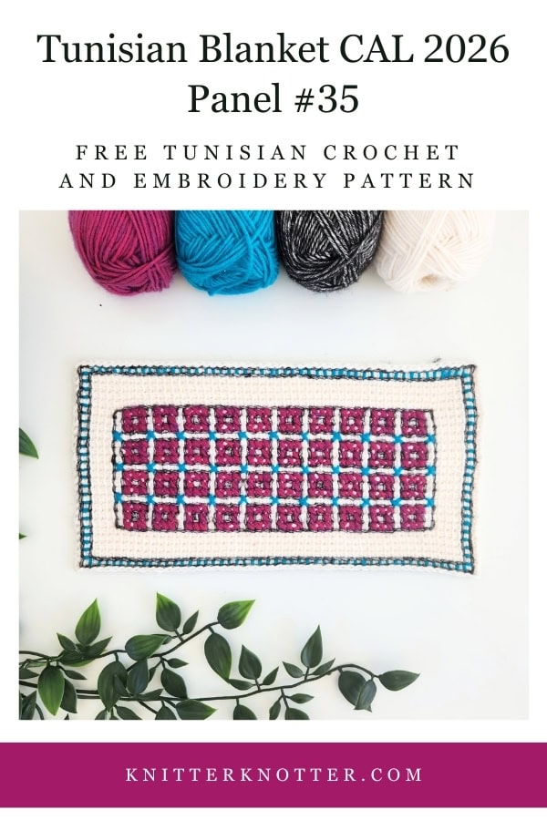 Panel #35 of the Neev Tunisian Blanket CAL of 2026 by KnitterKnotter - the fabric is worked with the Tunisian Simple stitches and features a beautiful blackwork-inspired embroidery design.