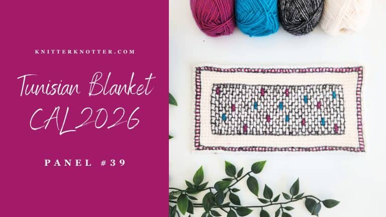 Tunisian Blanket CAL 2026 – Panel #39